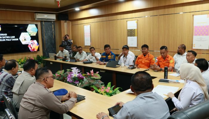 Teluk Palu Rawan Buaya, Basarnas Usulkan Satgas dan Zona Aman untuk Keselamatan Warga