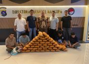 Polisi Gagalkan Peredaran 47 Kg Ganja di Sumbar, 4 Tersangka Ditangkap