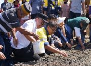 Wali Kota Palu Tanam Bibit Bawang Bersama Pemuda Laskar Pamotara dan PT CPM