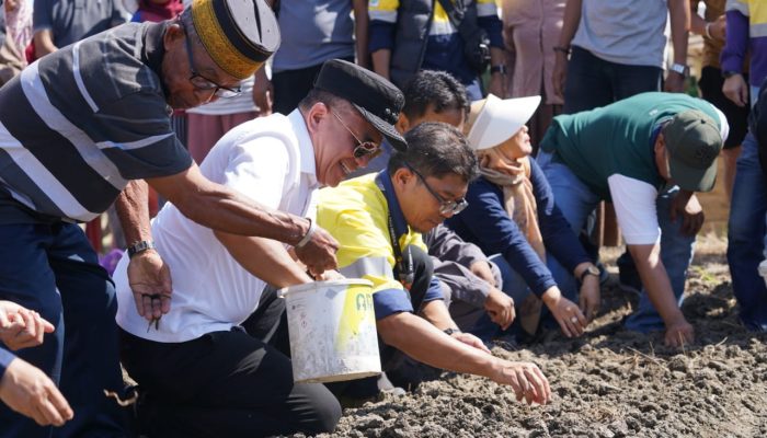 Wali Kota Palu Tanam Bibit Bawang Bersama Pemuda Laskar Pamotara dan PT CPM
