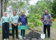 DPD RI: Pengelolaan Lingkungan PT Vale Bisa Jadi Contoh Perusahaan Tambang Lain