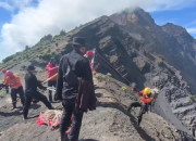 Tim SAR Berhasil Temukan Pendaki Brasil yang Terjatuh di Rinjani, Evakuasi Dilanjutkan Hari Ini