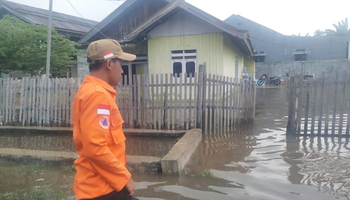 Lima Desa di Kecamatan Moutong Dilanda Banjir, Ratusan Warga Terdampak
