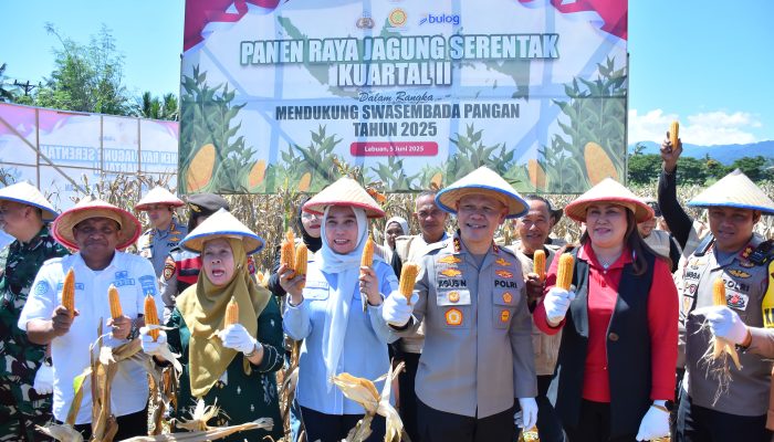 Panen Serentak Polda Sulteng Dan Kelompok Tani Panen 644 Ton Jagung