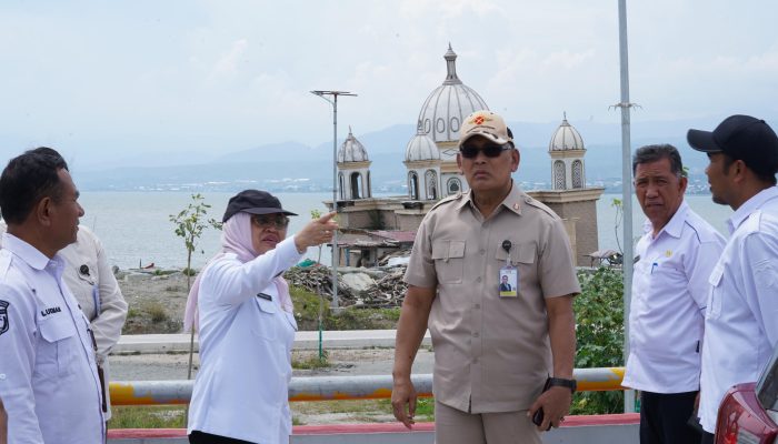 KSP Tinjau Langsung Progres Rehabilitasi Pascabencana di Kota Palu