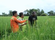 PT Vale Luncurkan Livelihood Restoration Program untuk Percepatan Pembangunan Berkelanjutan di Pomalaa