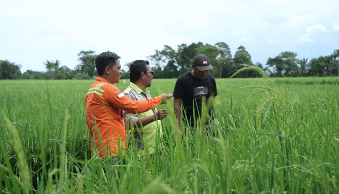 PT Vale Luncurkan Livelihood Restoration Program untuk Percepatan Pembangunan Berkelanjutan di Pomalaa