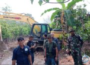 Ekskavator Ilegal Ditemukan di TN Lore Lindu, Pelaku Terancam 10 Tahun Penjara