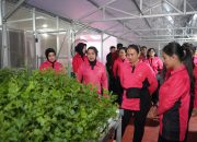 Ketua Umum Bhayangkari Pimpin Panen Raya P2L di Sulteng, Wujud Nyata Dukung Ketahanan Pangan