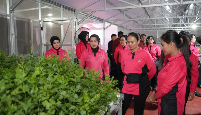 Ketua Umum Bhayangkari Pimpin Panen Raya P2L di Sulteng, Wujud Nyata Dukung Ketahanan Pangan