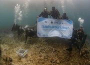 PT Vale & SDC Pulihkan Ekosistem Laut Bulupoloe