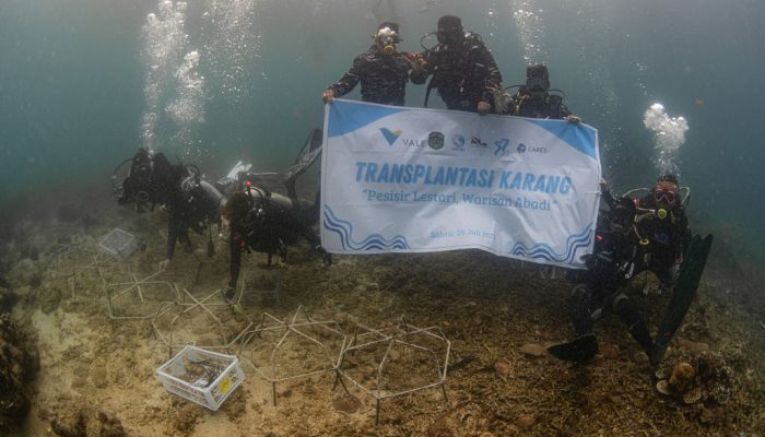 PT Vale & SDC Pulihkan Ekosistem Laut Bulupoloe