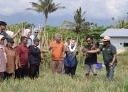 Wakil Wali Kota Imelda Panen Bawang Merah di Lahan Petani Petobo