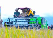 Gubernur Sulteng Hadiri Panen Raya Perdana di Sigi, Serahkan Bantuan Alsintan