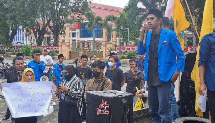 Kawasan Industri Morowali Disorot, PMII Sulteng Serukan Pengawasan Transparan dan Partisipatif