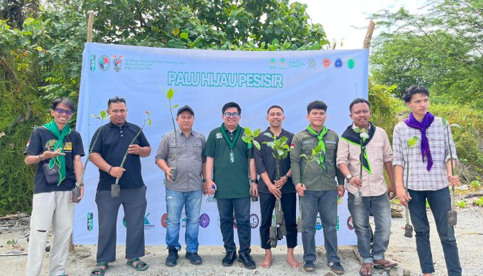 Refleksi 7 Tahun Bencana, Mahasiswa Tanam Mangrove di Teluk Palu