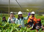 Belajar di Lapangan Hijau, PT Vale Ajarkan Pendidikan Lingkungan kepada Puluhan Siswa di Lutim