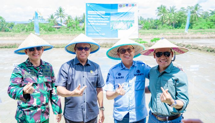 PT Vale Gandeng Pemerintah Kolaka Bangun Demplot Padi Inovatif untuk Ketahanan Pangan Nasional