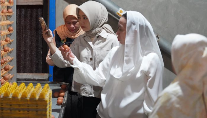 Jelang Nataru, Wakil Wali Kota Palu Sidak Distributor Telur di Layana