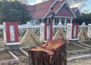 Tak Terima Pohon Peneduh Ditebang, Gubernur Anwar Hafid: Wajib Diganti!