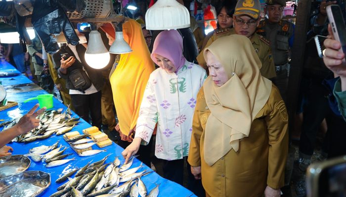 Jelang Natal dan Tahun Baru, Wagub Sulteng Sidak Pasar Pastikan Harga Bahan Pokok Stabil