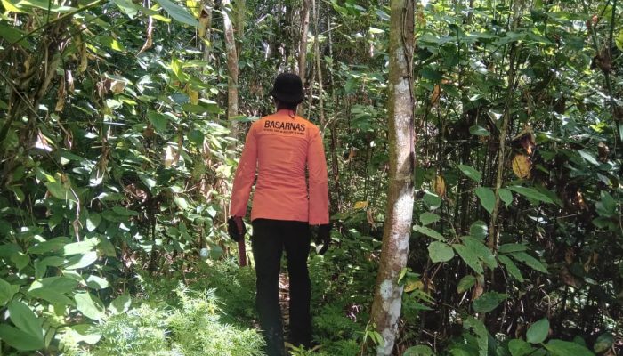 Lansia 90 Tahun Diduga Hilang di Perkebunan Pisou, Tim SAR Dikerahkan
