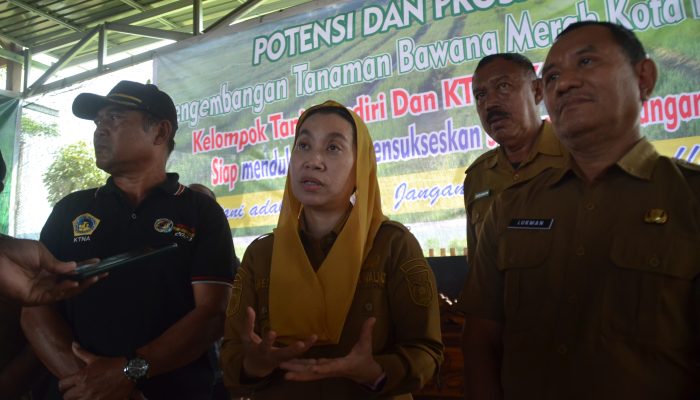 Wawali Palu: Bawang Merah Tak Perlu Lagi dari Luar Daerah