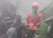 Tim SAR Gabungan Temukan Black Box Pesawat pada Hari Kelima Operasi SAR