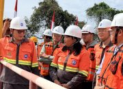 MIND ID Apresiasi Progres Proyek Hilirisasi Nikel PT Vale di IGP Pomalaa