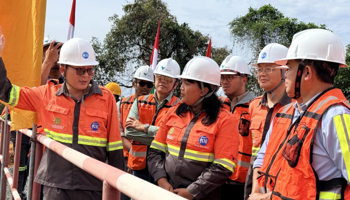MIND ID Apresiasi Progres Proyek Hilirisasi Nikel PT Vale di IGP Pomalaa