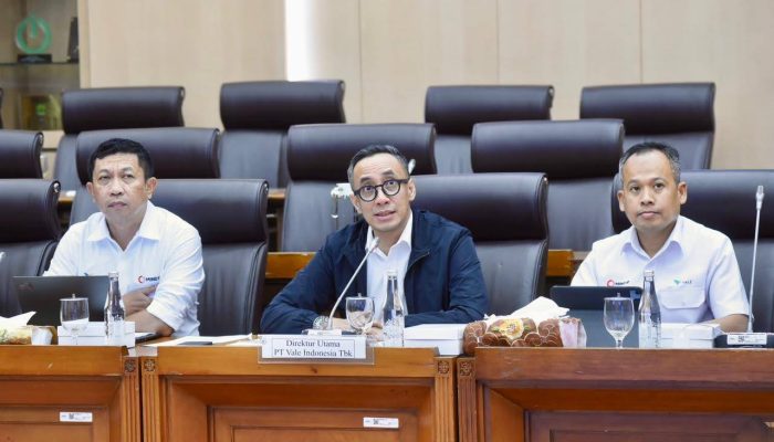 PT Vale Paparkan Progres Proyek dan Hilirisasi Nikel dalam RDP Bersama DPR RI