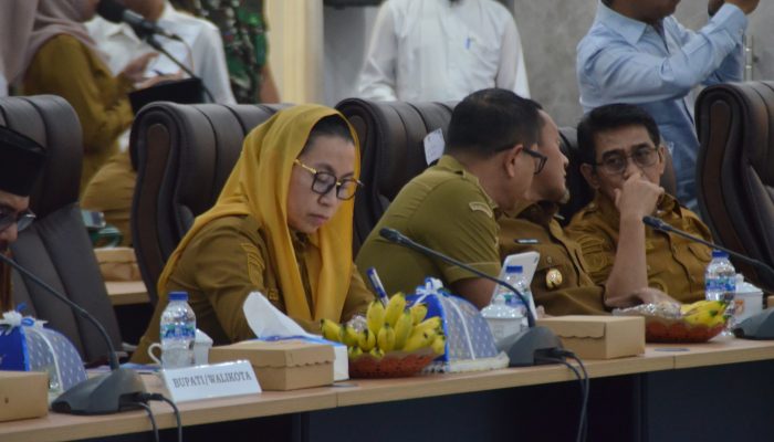 Wakil Wali Kota Palu Ikuti Rakor Tata Kelola Pertambangan Ramah Lingkungan