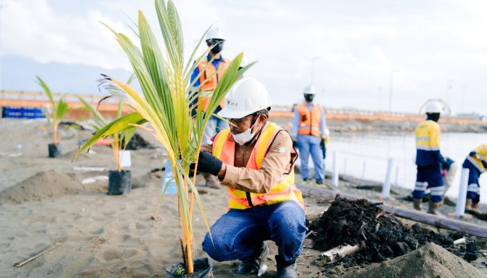 Peringati Hari Bumi, PT Vale Gelar Penanaman Pohon dan Bersih Pantai di Morowali