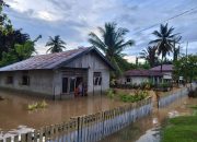 Banjir Rendam Permukiman di Banggai, 10 Rumah Terdampak
