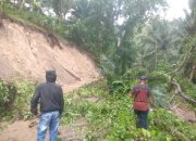 Diguyur Hujan Deras, Jalan Antar Desa di Banggai Lumpuh Tertimbun Longsor