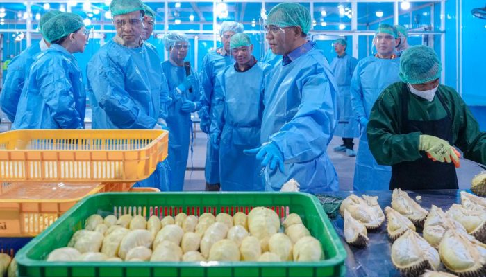 Durian Sulteng Mendunia, 459 Ton Diekspor ke Tiongkok Senilai Rp42,5 Miliar