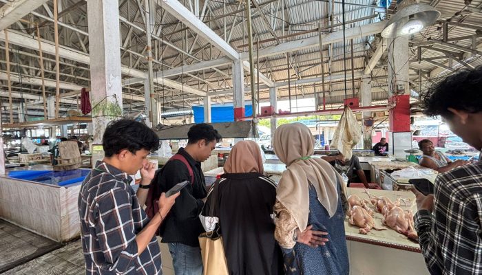 Kelompok BASUDARA Ungkap Fakta Harga Ayam di Poso, Selisihnya Tajam