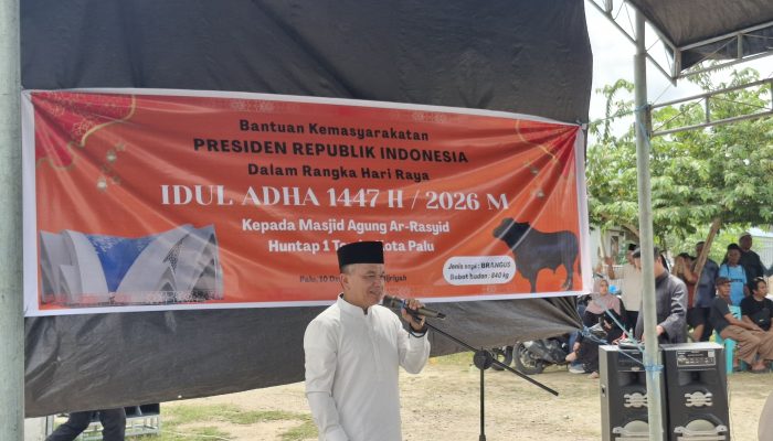 Pemkot Palu Salurkan 789 Sapi dan 328 Kambing Kurban pada Iduladha 1447 H