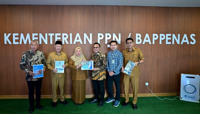 Audiensi dengan Bappenas, Wagub Reny Bahas Hilirisasi dan Ekonomi Maritim Sulteng
