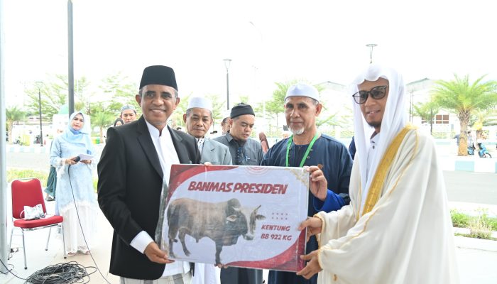 Idul Adha 1447 H, Pemprov Sulteng Salurkan 127 Hewan Kurban untuk Masyarakat