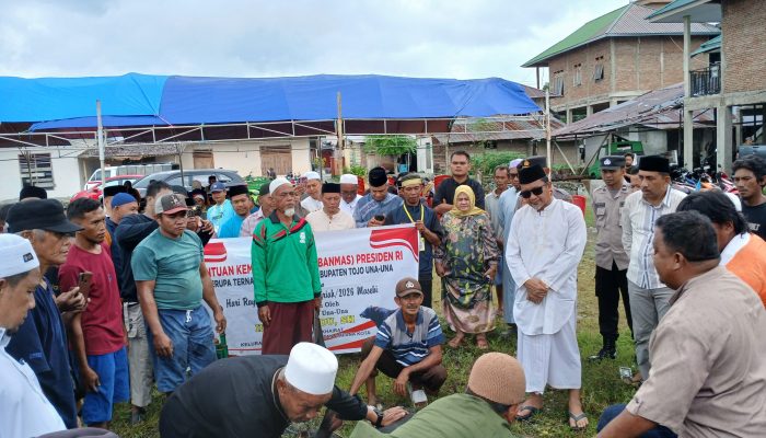 Bupati Ilham Lawidu Serahkan Sapi Kurban Presiden di Masjid Miftahul Khairat