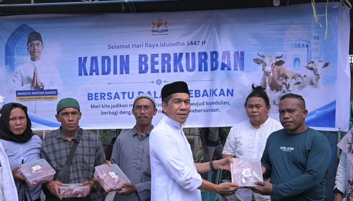 KADIN Sulteng Berbagi Kebahagiaan Iduladha Lewat 4 Ekor Sapi Kurban