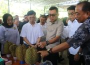 Abdul Kadir Karding Dorong Parigi Moutong Jadi Sentra Durian Global