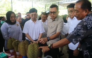 Abdul Kadir Karding Dorong Parigi Moutong Jadi Sentra Durian Global
