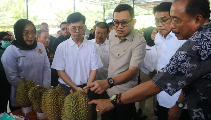 Abdul Kadir Karding Dorong Parigi Moutong Jadi Sentra Durian Global