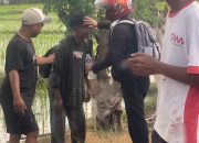 Diduga Gegara Putus Cinta, Pria Ini Nekat Terjun ke Sawah Bersama Motornya