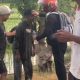 Diduga Gegara Putus Cinta, Pria Ini Nekat Terjun ke Sawah Bersama Motornya