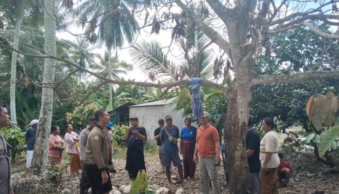 Warga Balinggi Digegerkan Penemuan Lansia Meninggal Tergantung di Pohon Mangga