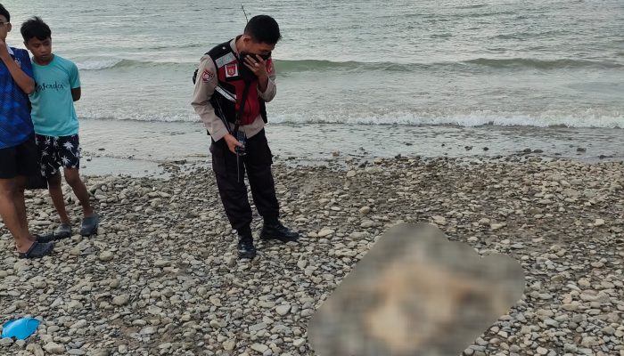 Mayat Tanpa Identitas Ditemukan di Pesisir Pantai Talise Palu