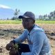 Harga Beras Petani Sigi Stabil, Petani Berharap Perbaikan Irigasi